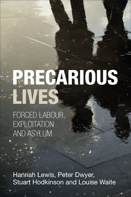 Book cover image for Precarious Lives ISBN: 9781447306900