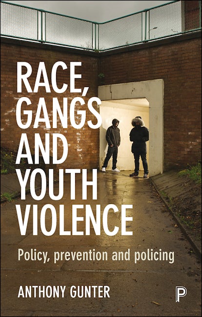 Book cover image for Race, Gangs and Youth Violence ISBN: 9781447322870