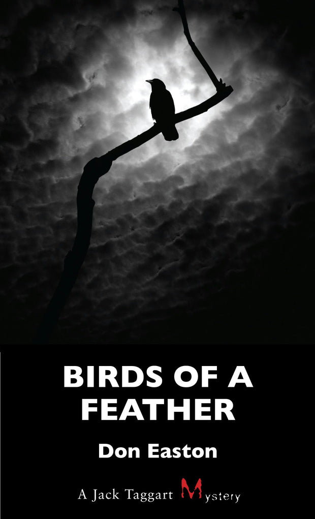 Cover image for Birds of a Feather, isbn: 9781459702196