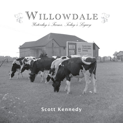 Cover image for Willowdale, isbn: 9781459717503