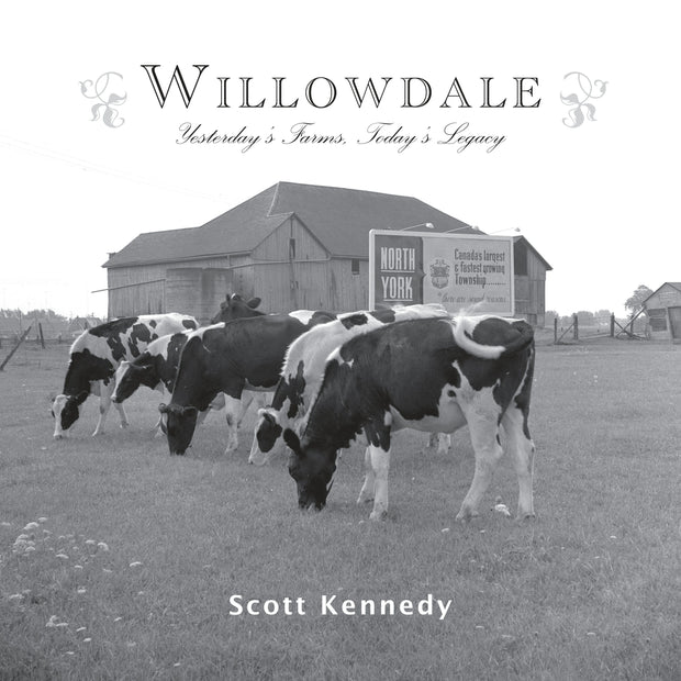 Cover image for Willowdale, isbn: 9781459717503