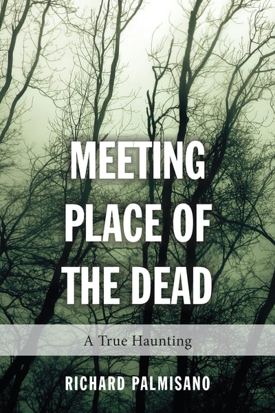 Cover image for Meeting Place of the Dead, isbn: 9781459728455