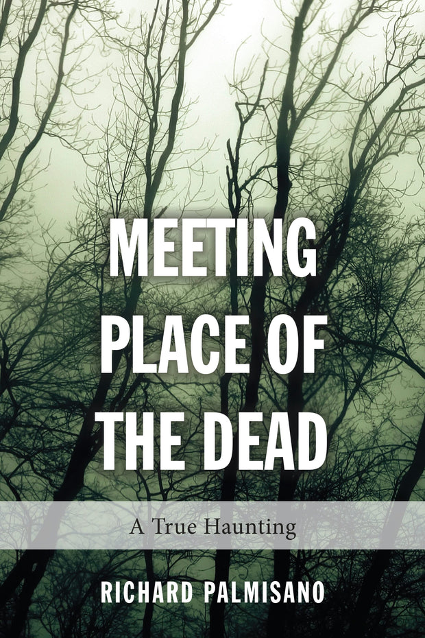 Cover image for Meeting Place of the Dead, isbn: 9781459728455