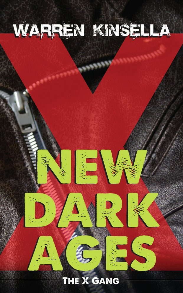 Cover image for New Dark Ages, isbn: 9781459742154