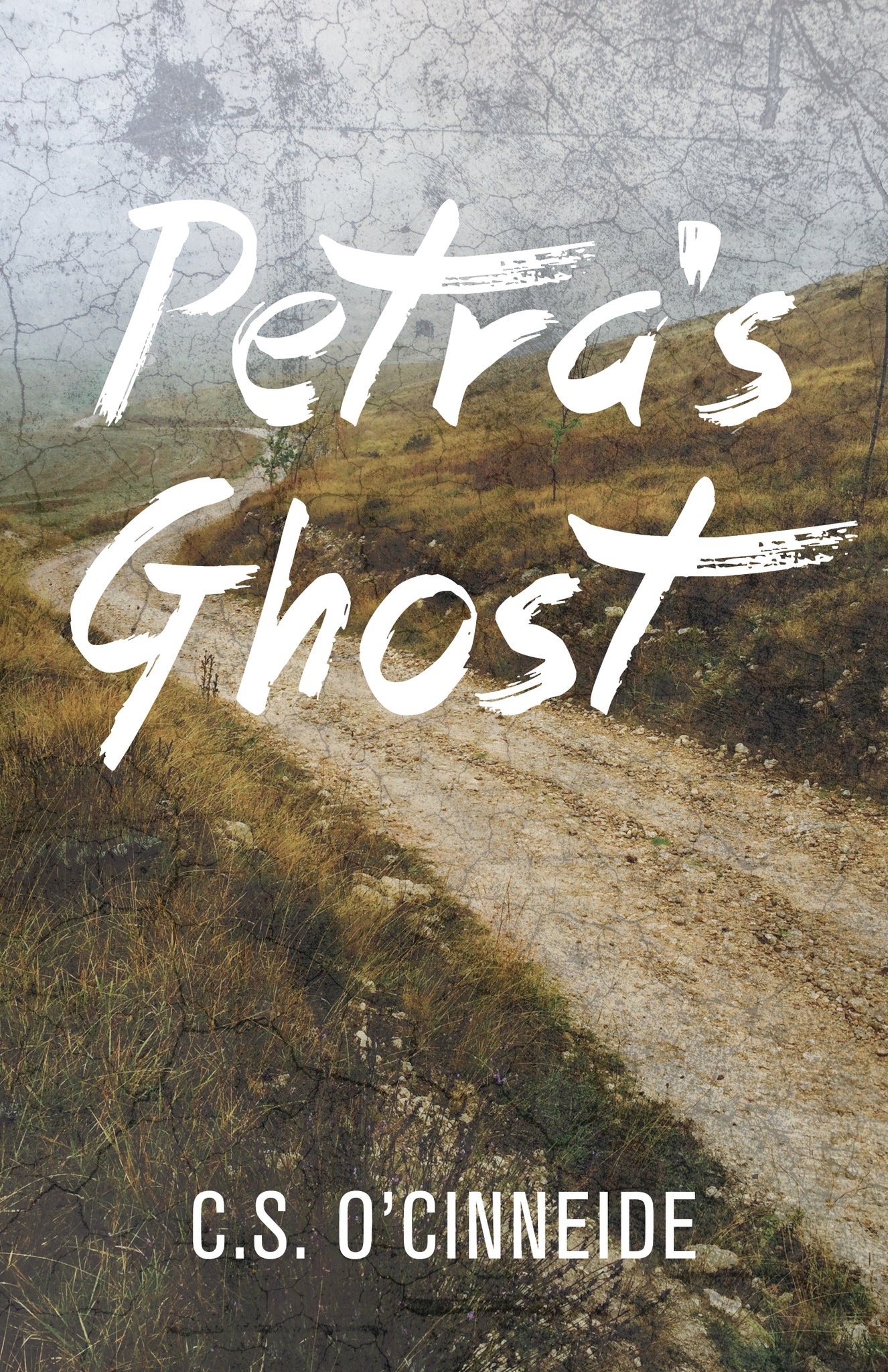 Cover image for Petra's Ghost ISBN 9781459744684
