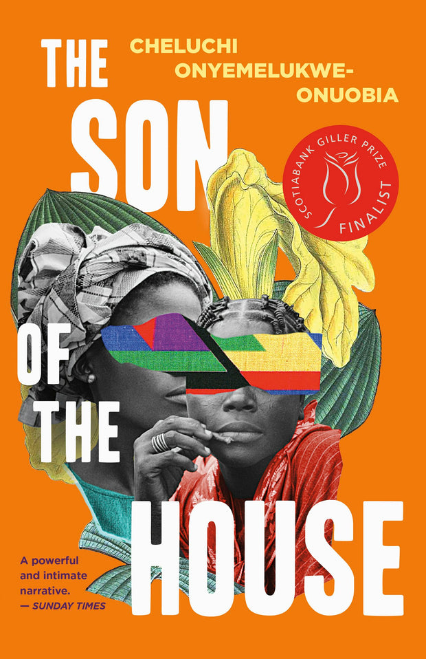 Cover image for The Son of the House, isbn: 9781459747081