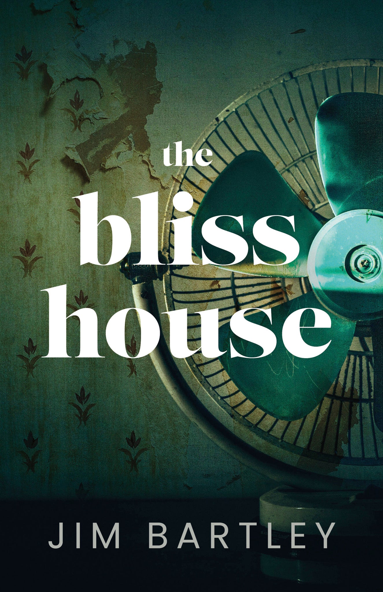 Cover image for The Bliss House ISBN 9781459751460