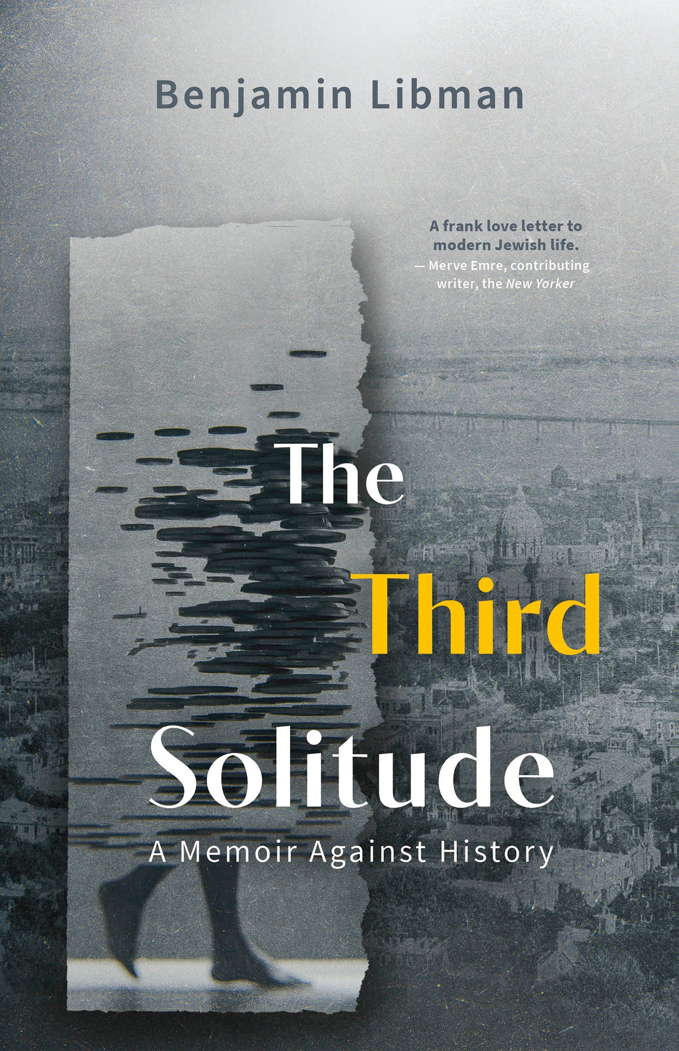 Cover image for The Third Solitude ISBN 9781459753662