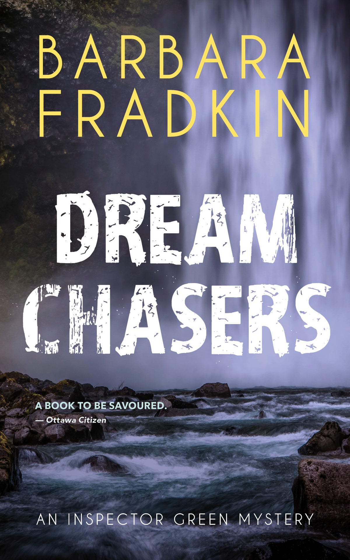 Cover image for Dream Chasers ISBN 9781459753877