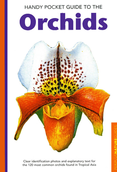 Cover image for Handy Pocket Guide to Orchids, isbn: 9781462907274