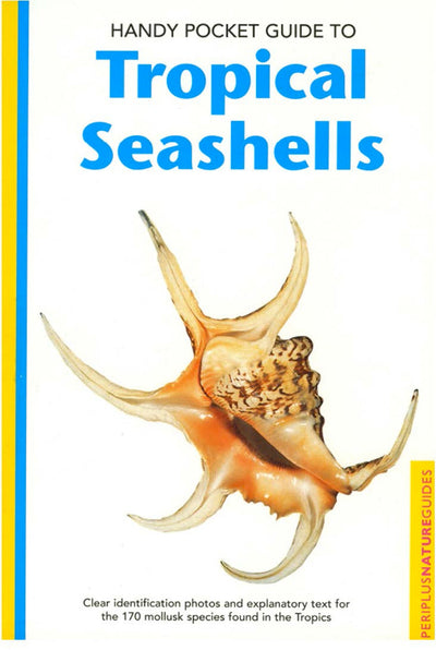 Cover image for Handy Pocket Guide to Tropical Seashells, isbn: 9781462907304
