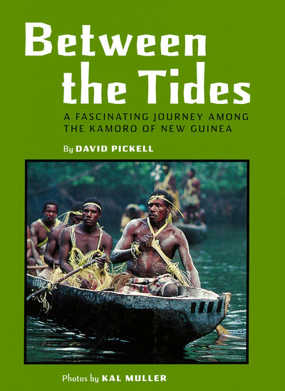 Cover image for Between the Tides, isbn: 9781462914869