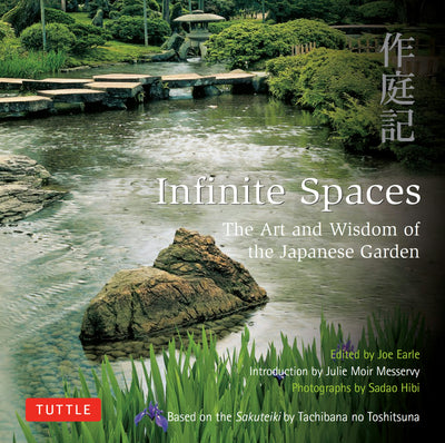 Cover image for Infinite Spaces, isbn: 9781462919734