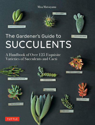 Cover image for Gardener's Guide to Succulents, isbn: 9781462921317