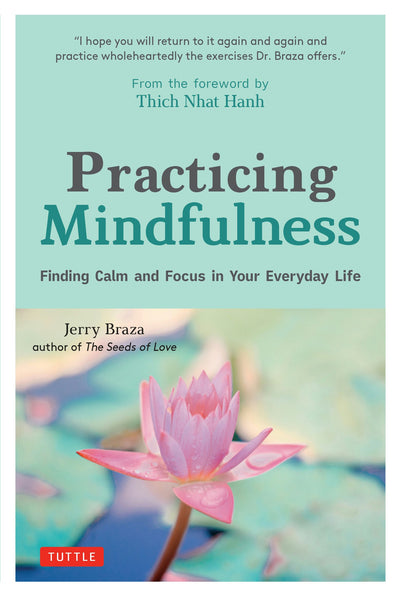 Cover image for Practicing Mindfulness, isbn: 9781462922062