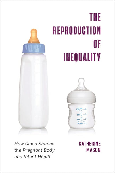 The Reproduction of Inequality