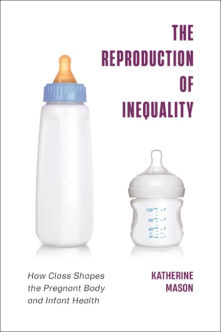 The Reproduction of Inequality