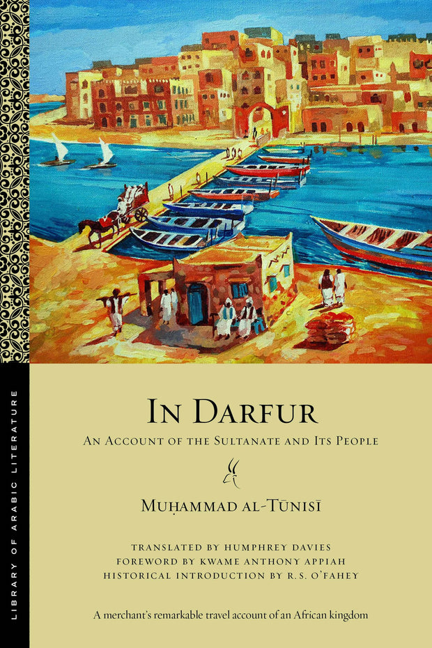 Cover image for In Darfur, isbn: 9781479804436