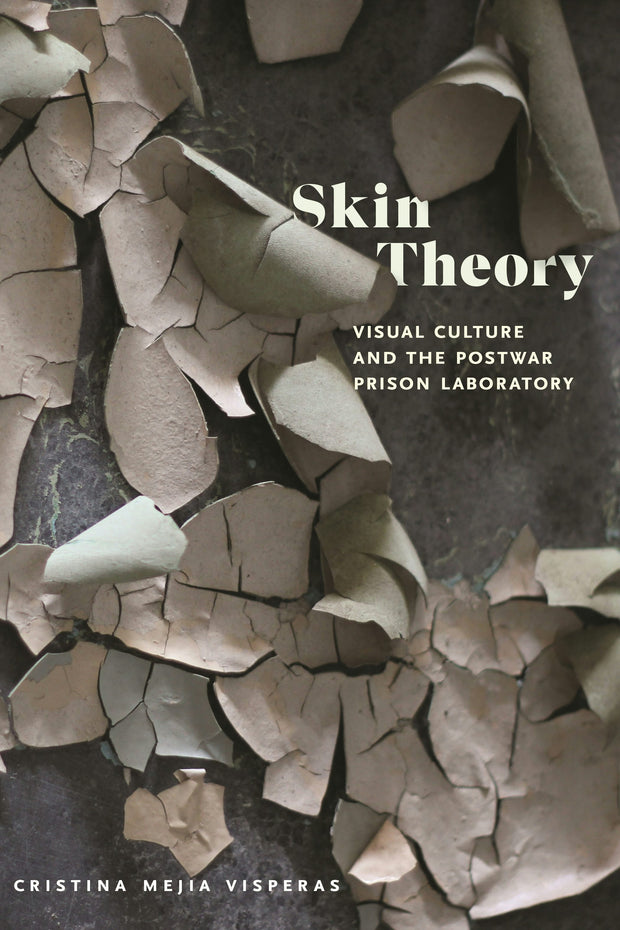 Cover image for Skin Theory, isbn: 9781479810802