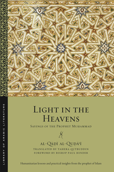 Cover image for Light in the Heavens, isbn: 9781479824021