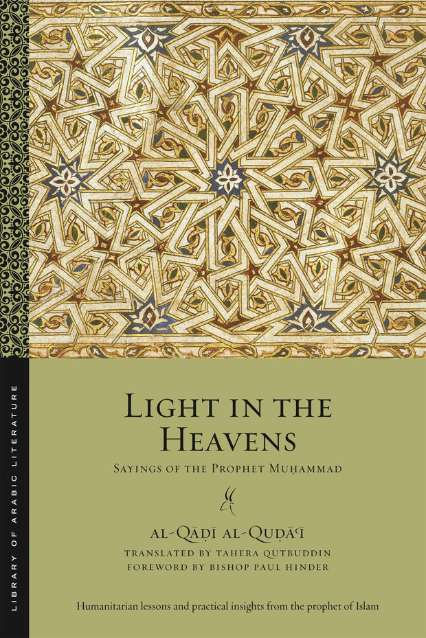 Cover image for Light in the Heavens, isbn: 9781479824021