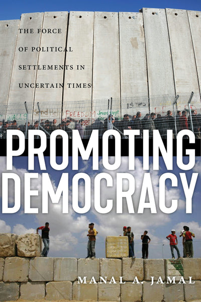 Cover image for Promoting Democracy, isbn: 9781479830008