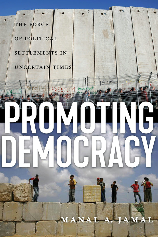 Cover image for Promoting Democracy, isbn: 9781479830008