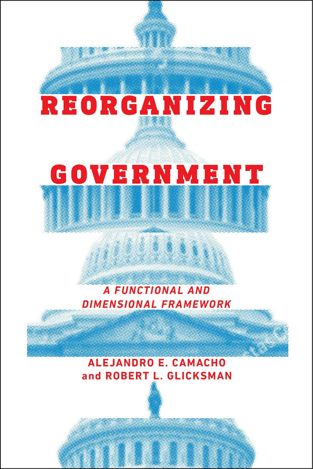 Cover image for Reorganizing Government, isbn: 9781479833290