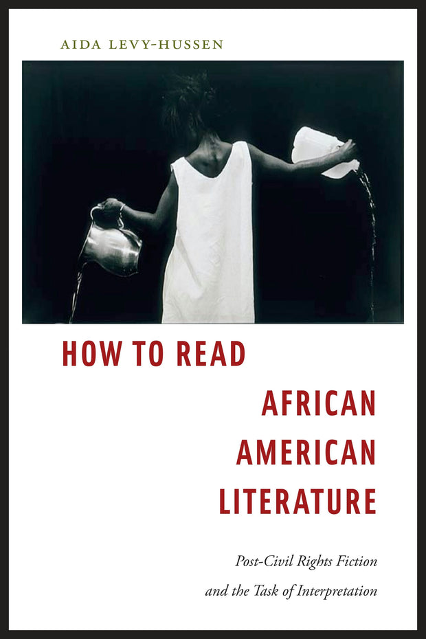 Cover image for How to Read African American Literature, isbn: 9781479838141