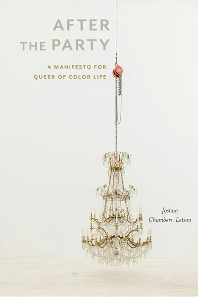 Cover image for After the Party, isbn: 9781479846467