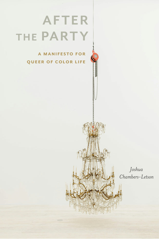 Cover image for After the Party, isbn: 9781479846467