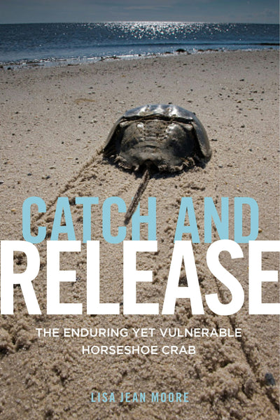 Cover image for Catch and Release, isbn: 9781479848096