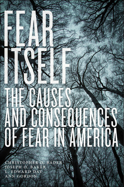 Cover image for Fear Itself, isbn: 9781479852055