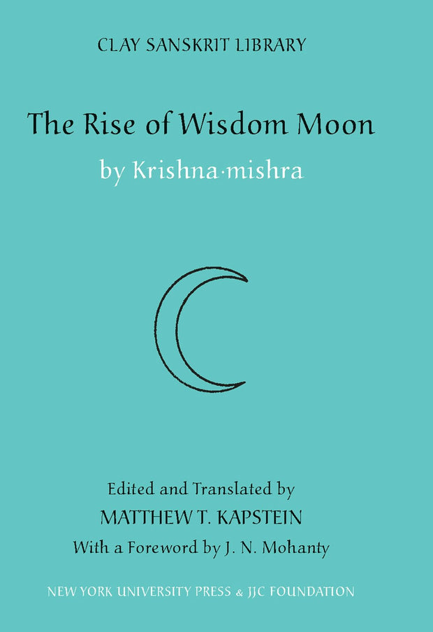 Cover image for The Rise of Wisdom Moon, isbn: 9781479852642