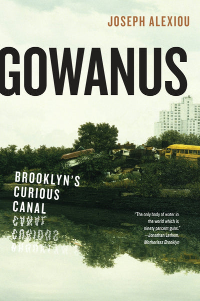 Cover image for Gowanus, isbn: 9781479863549