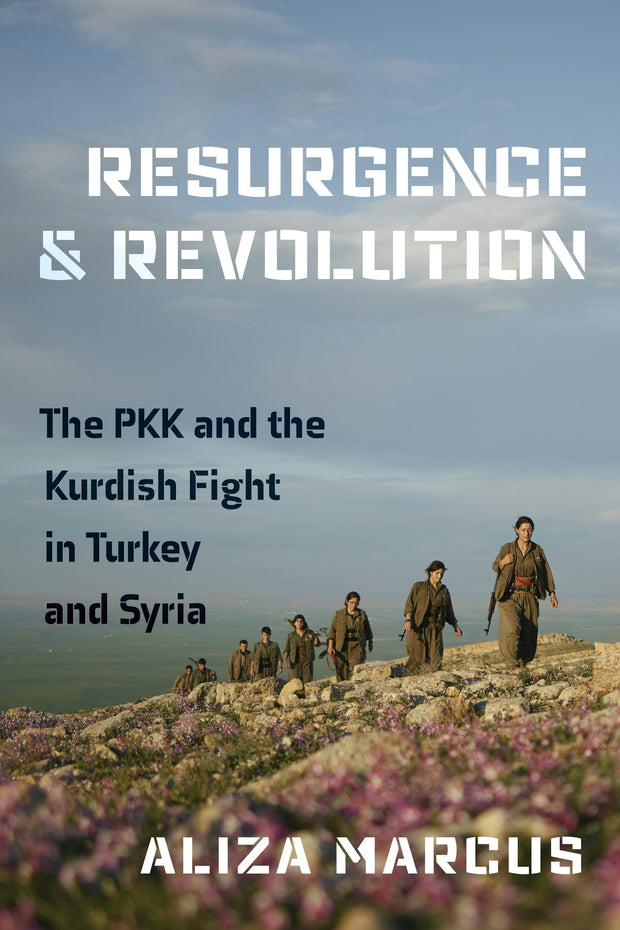 Cover image for Resurgence and Revolution, isbn: 9781479865369