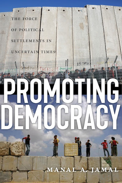 Promoting Democracy