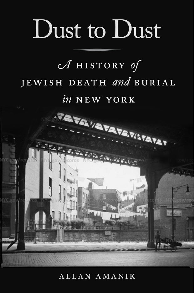Cover image for Dust to Dust, isbn: 9781479884995