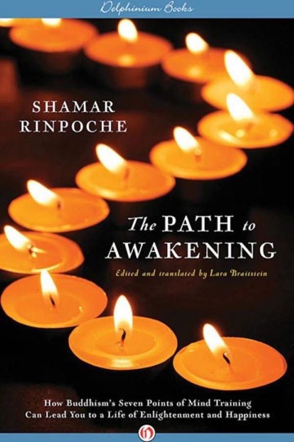 Cover image for The Path to Awakening, isbn: 9781480481343