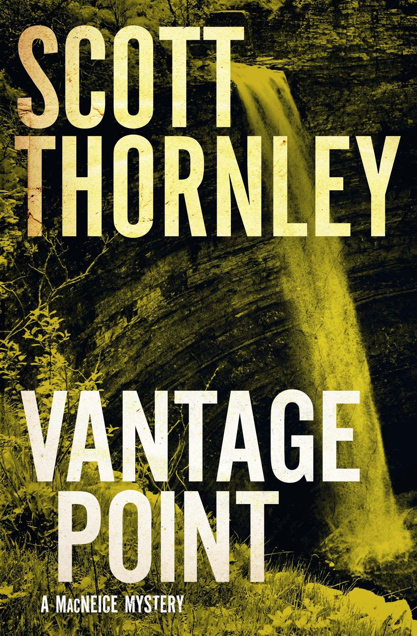 Book cover image for Vantage Point ISBN: 9781487003326