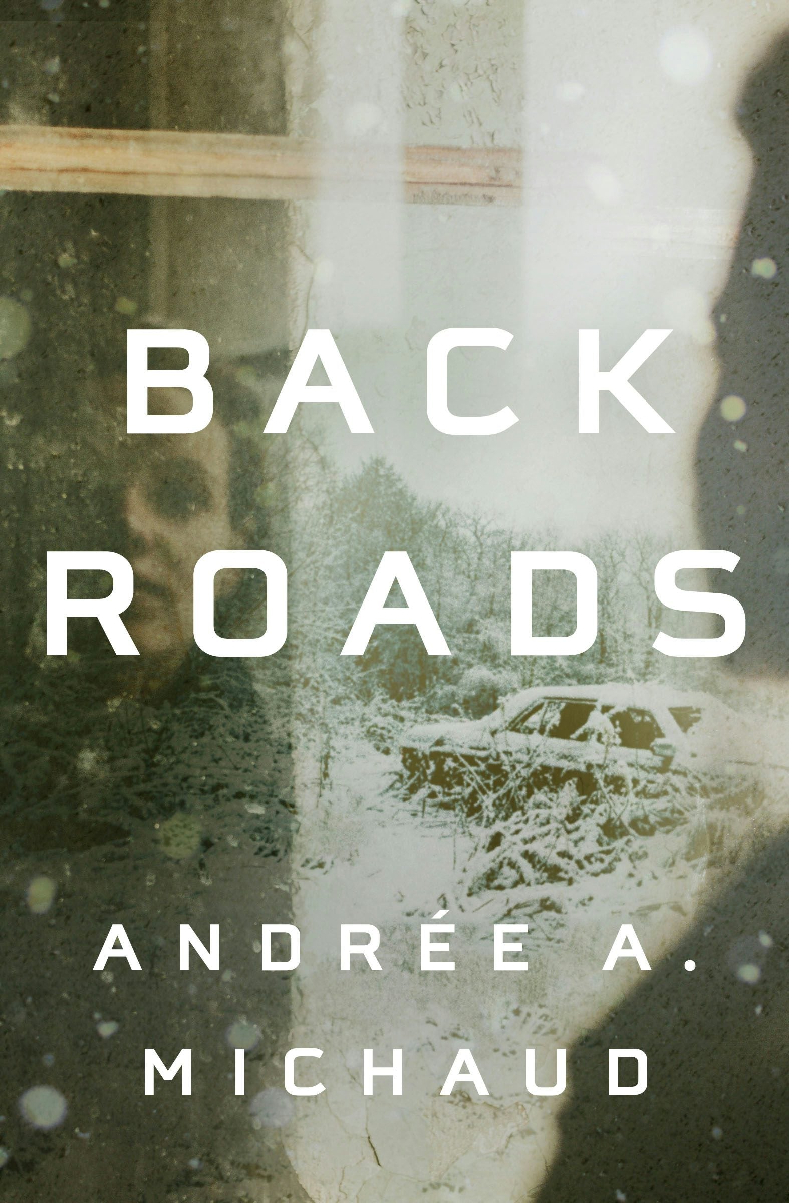 Book cover image for Back Roads ISBN: 9781487005801