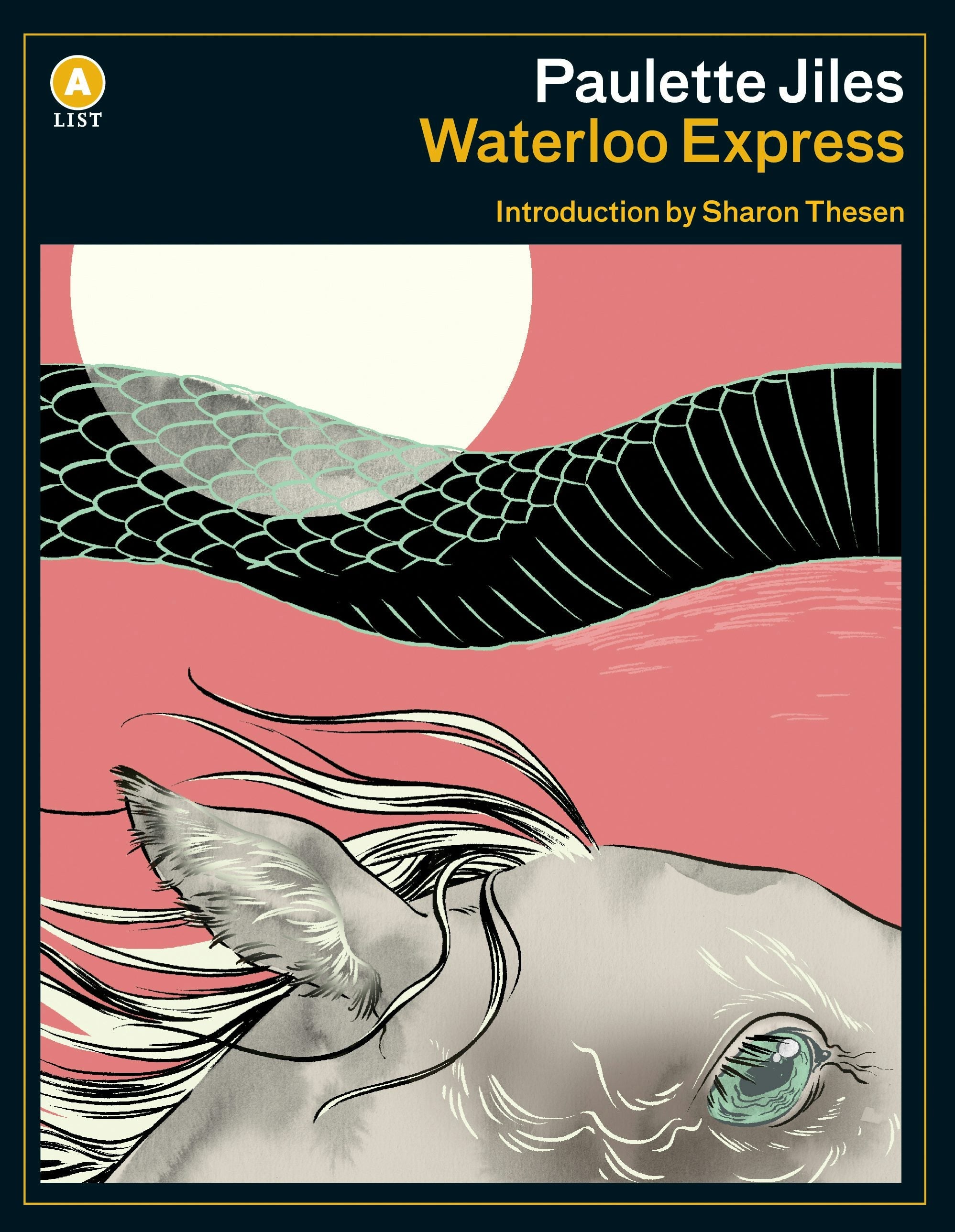Book cover image for Waterloo Express ISBN: 9781487006655