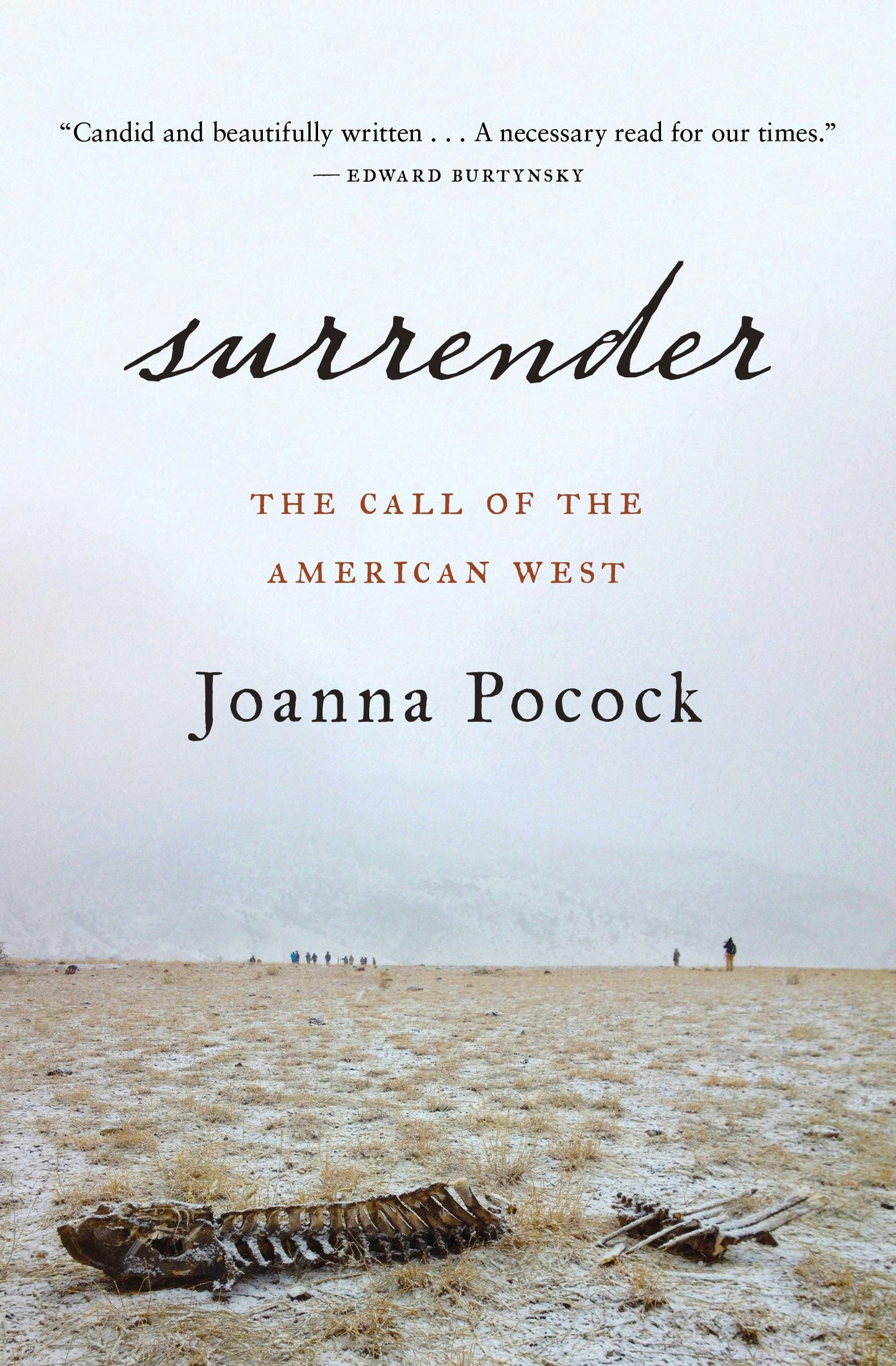 Book cover image for Surrender ISBN: 9781487007249