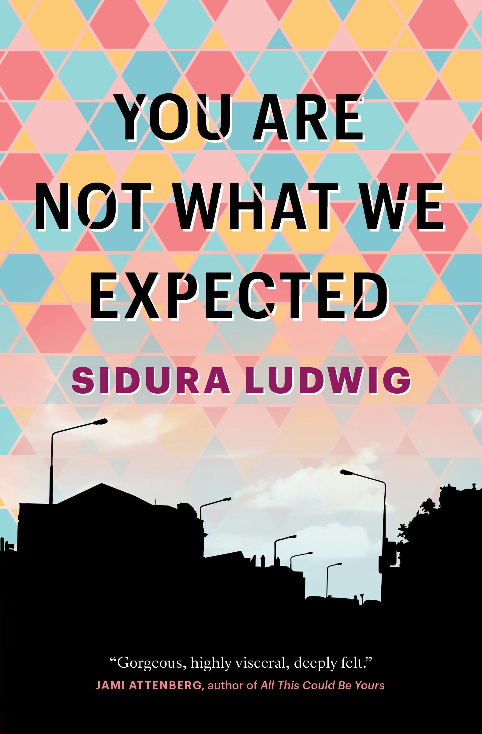 Book cover image for You Are Not What We Expected ISBN: 9781487007348