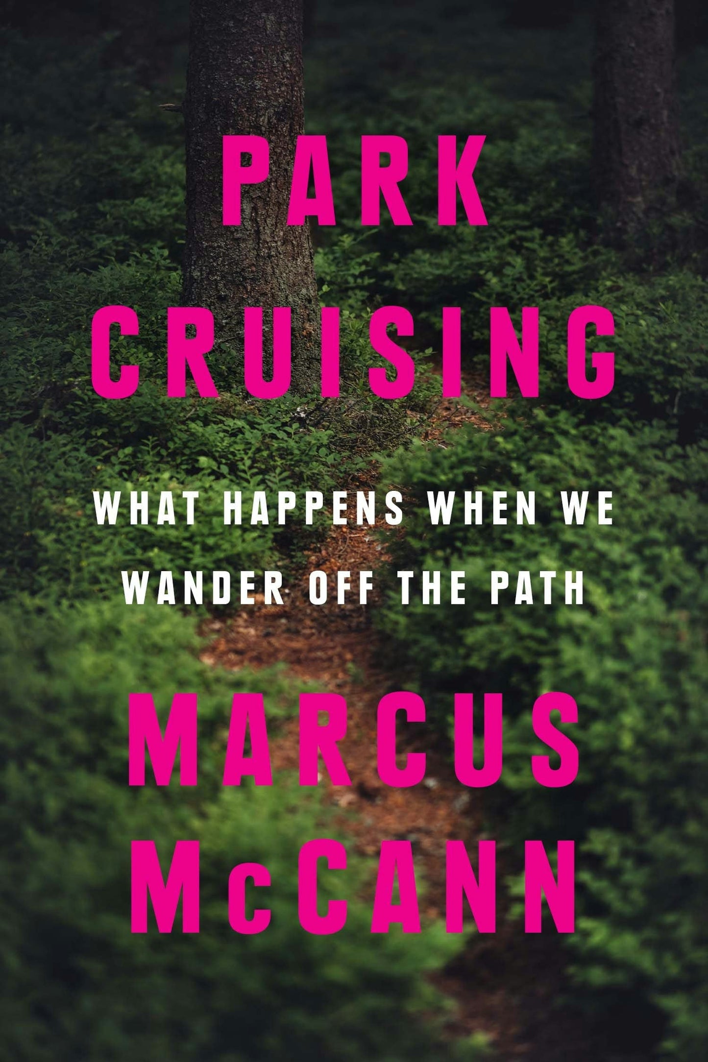 Book cover image for Park Cruising ISBN: 9781487011789