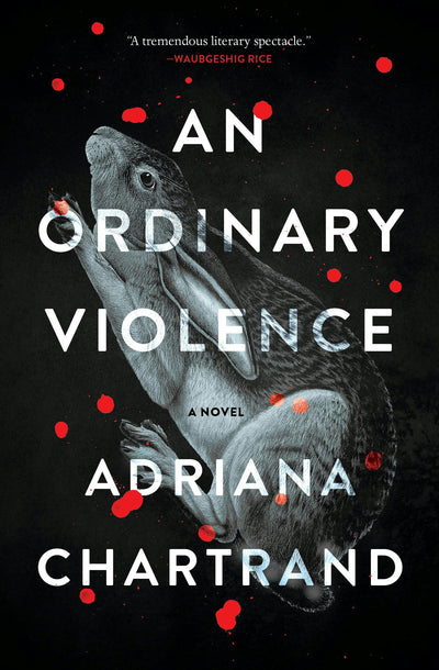Cover image for An Ordinary Violence, isbn: 9781487011888