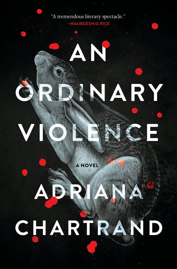 Cover image for An Ordinary Violence, isbn: 9781487011888