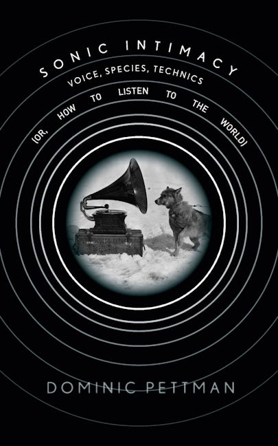 Book cover image for Sonic Intimacy ISBN: 9781503601451