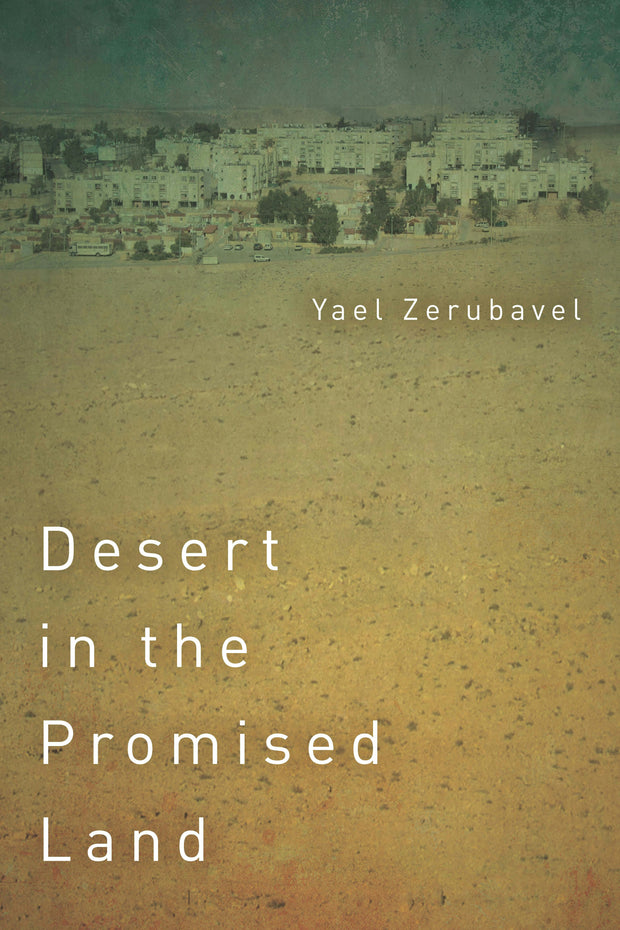 Cover image for Desert in the Promised Land, isbn: 9781503606234