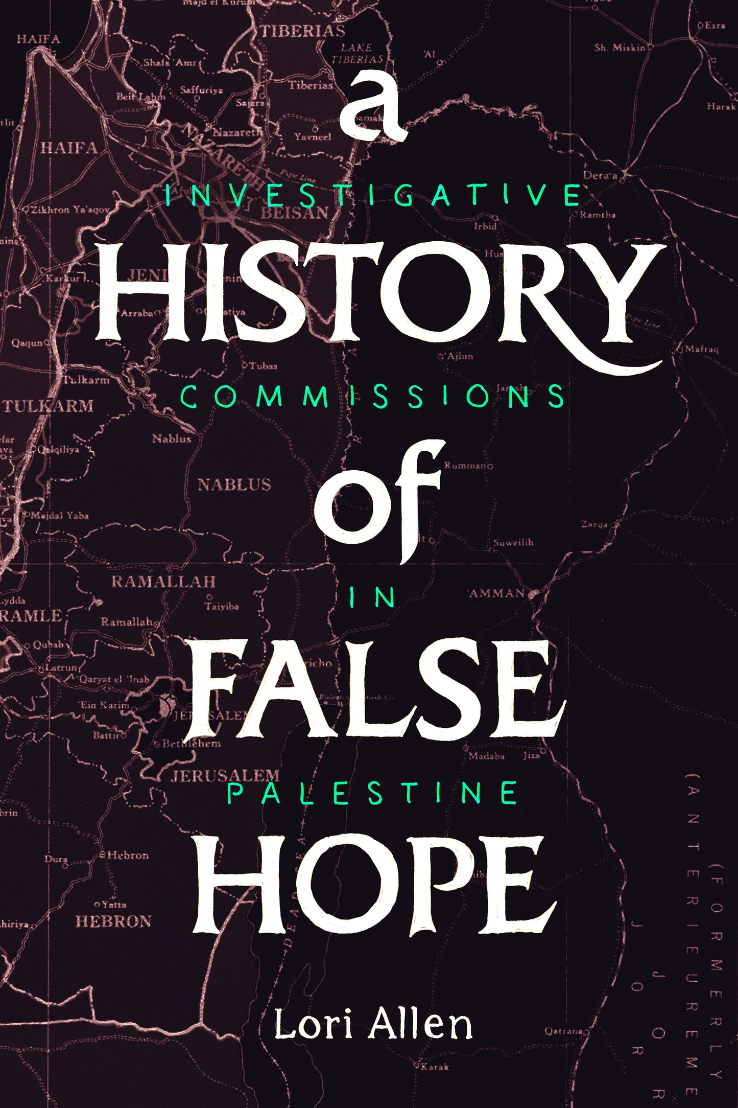 Book cover image for A History of False Hope ISBN: 9781503606722